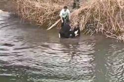 买球app哪个好用 -捨(shě)己救人真英雄(xióng) 危急关头显担当