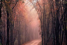 买球app哪个好用 -招(zhāo)商序——湖西十年唯(wéi)一(yī)低密(mì)洋房，稀缺价值再(zài)定义