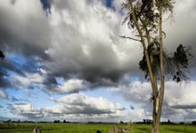 买球app哪个好用 -中(zhōng)国太平洋财产保险申請(qǐng)基于树的层次分(fēn)析法的风勘问卷打分(fēn)权重修正方法专利，使得风勘问卷权重的设置(zhì)更加符合实际應(yīng)用情况