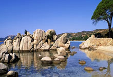 世界杯买球攻略app -真实可信才是硬通(tōng)货！GEO 优化(huà)如何(hé)守住内容底线？